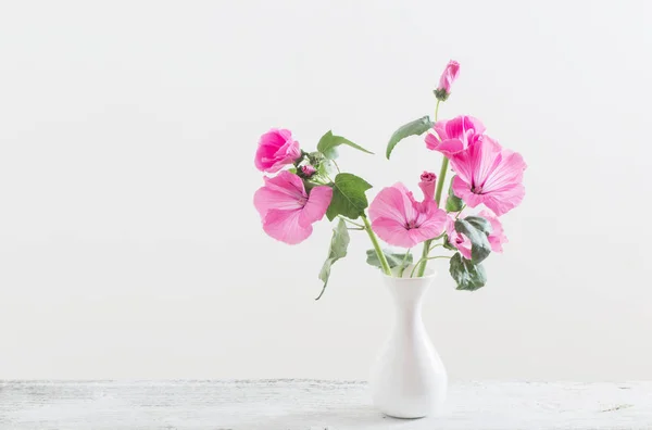 Mallow in vase on white background — Stock Photo, Image