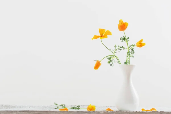 Eschscholzia  in white vase — Stock Photo, Image