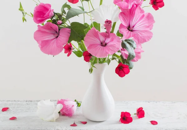 Malve in Vase auf weißem Hintergrund — Stockfoto