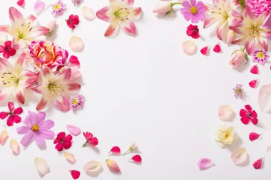 beyaz zemin üzerine yaz çiçek