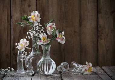 Alstroemeria cam damarlarının koyu ahşap arka plan üzerinde
