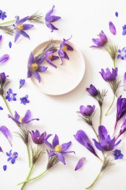 Mor çiçekler üzerinde beyaz bir arka plan bahar