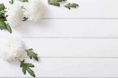 Beyaz ahşap zemin üzerinde krizantem