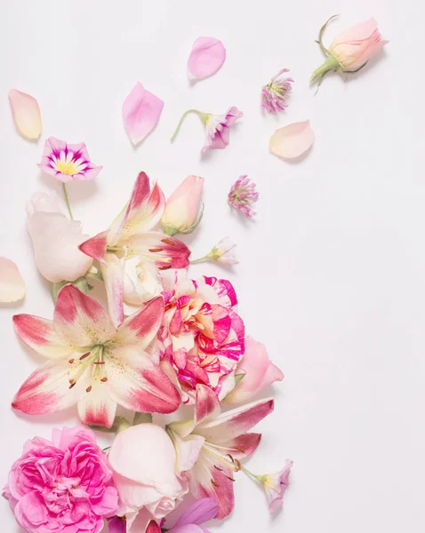 Nyári virágok fehér háttér — Stock Fotó