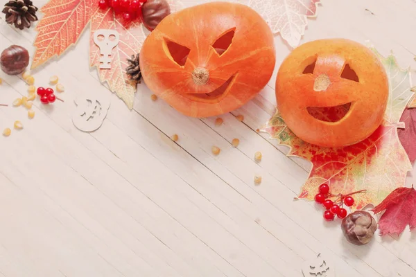 Halloween decoration on wooden  background — Stock Photo, Image