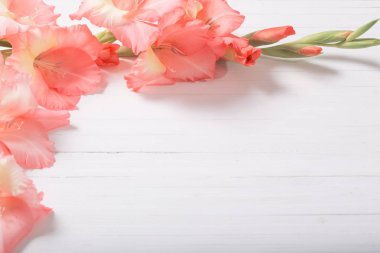 Kılıç çiçeği Beyaz ahşap zemin üzerinde 