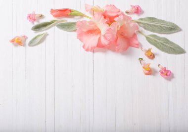 Beyaz ahşap arka planda güzel çiçekler