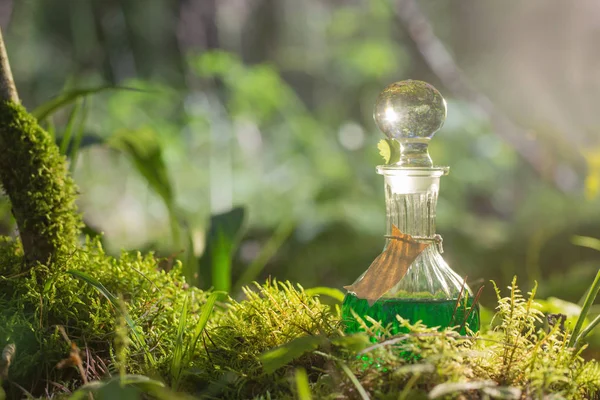 Magic potion in bottle in forest — Stock Photo, Image