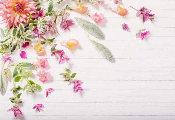 Bellissimi fiori su sfondo bianco in legno — Foto Stock