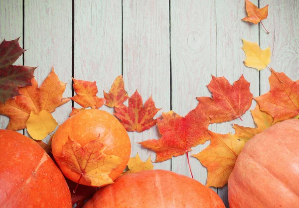 Hojas de otoño y calabazas sobre fondo de madera azul — Foto de Stock