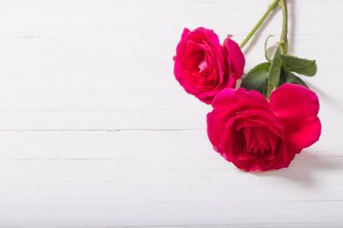 İki Gül Beyaz ahşap zemin üzerinde