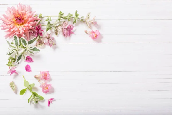 Belles fleurs sur fond de bois blanc — Photo