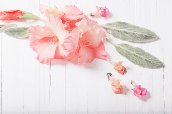 Belles fleurs sur fond de bois blanc — Photo