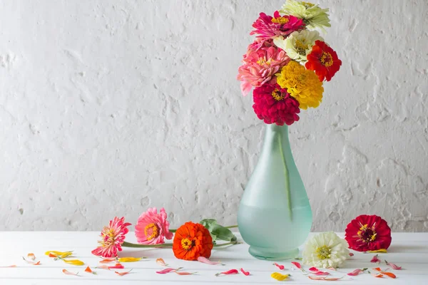 Flores de zinnia sobre fondo blanco — Foto de Stock