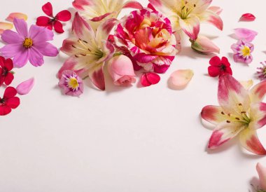 beyaz zemin üzerine yaz çiçek