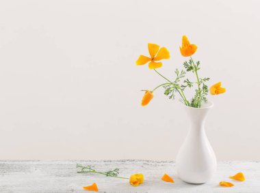 Eschscholzia beyaz aranjman