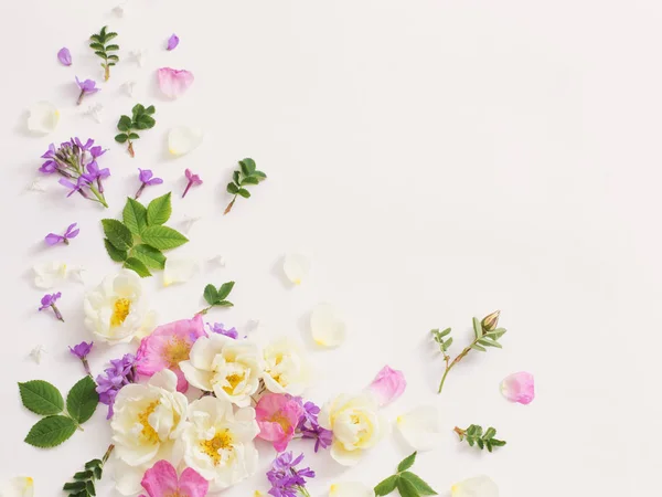 Sommerblumen auf weißem Hintergrund — Stockfoto