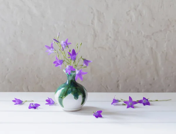 Bluebell in wase on white background — Stock Photo, Image