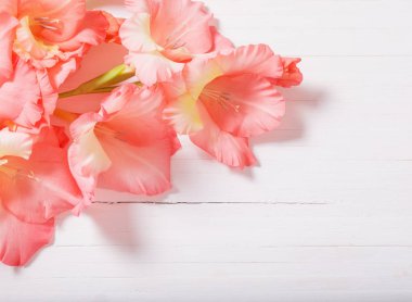 Kılıç çiçeği Beyaz ahşap zemin üzerinde 