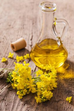 Tahta masadaki kolza yağı (kanola) ve tecavüz çiçekleri