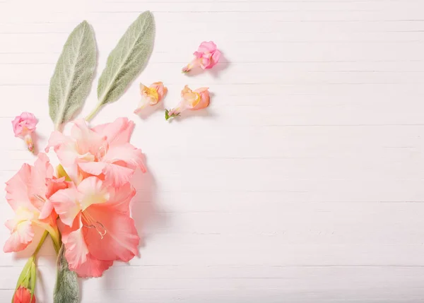Beautiful flowers on white wooden background — Stock Photo, Image