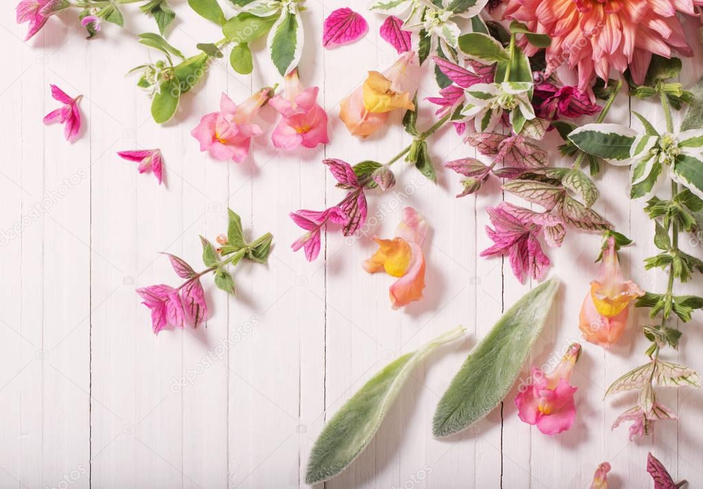 beautiful flowers on white wooden background