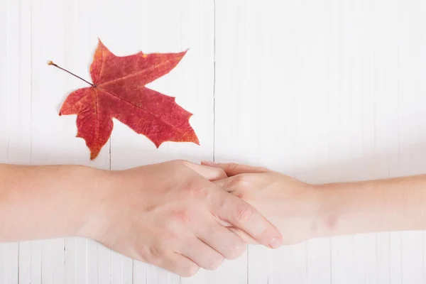 Two hands and red leaf on white wooden background — Stock Photo, Image