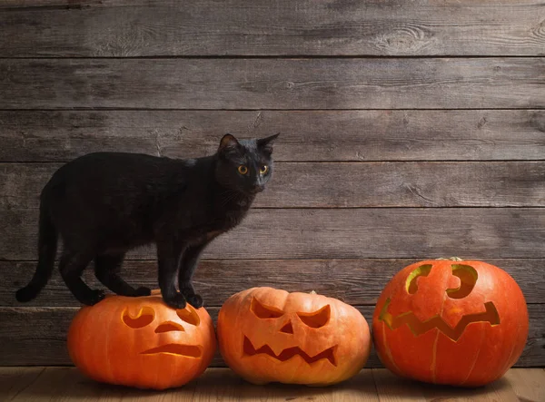 万圣节南瓜和黑猫木制背景 — 图库照片