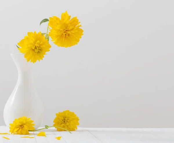 Flores amarillas en jarrón sobre fondo blanco —  Fotos de Stock