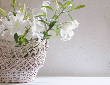 arka plan eski duvarda sepette güzel beyaz zambak