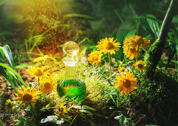 Magic potion in bottle in forest — Stock Photo, Image