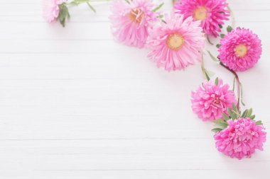 Aster Beyaz ahşap zemin üzerinde