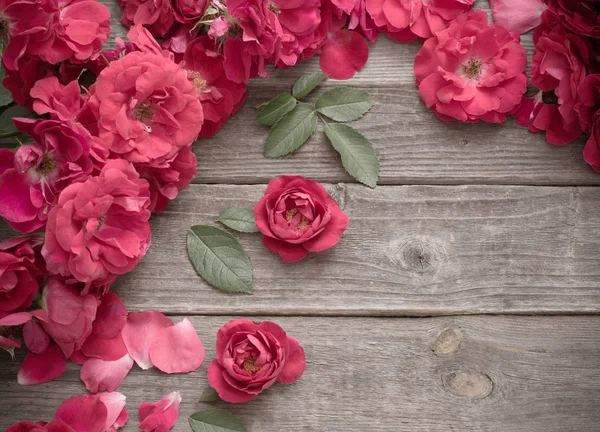 Rosa roja sobre fondo de madera —  Fotos de Stock