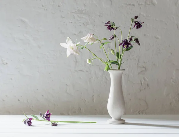 Flores em vaso no fundo parede branca velha — Fotografia de Stock