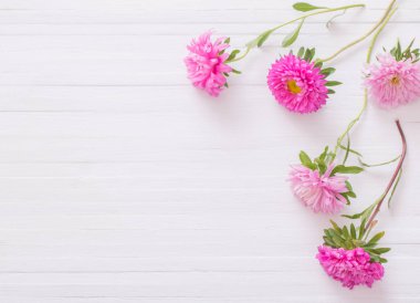 Aster Beyaz ahşap zemin üzerinde