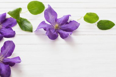 arka plan ile mor akasma