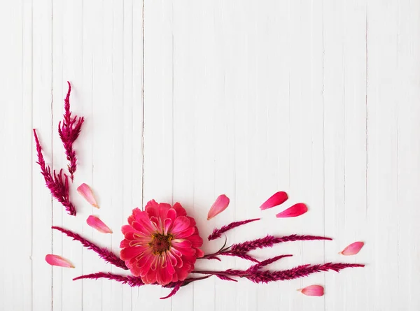 Background with zinnia flowers — Stock Photo, Image