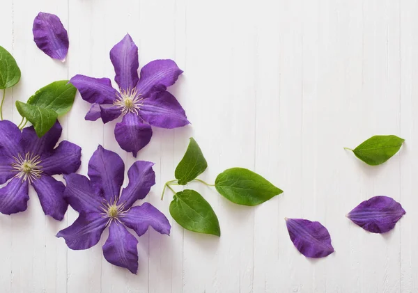 arka plan ile mor akasma