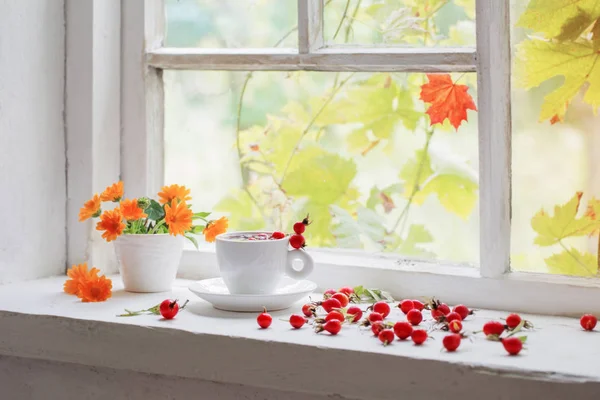 Tea with berries of a dogrose on a windowsill — Stock Photo, Image