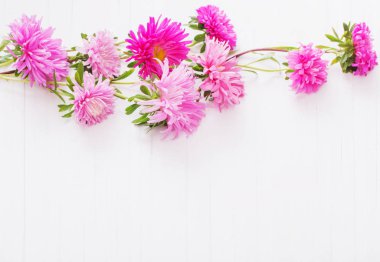 Aster Beyaz ahşap zemin üzerinde