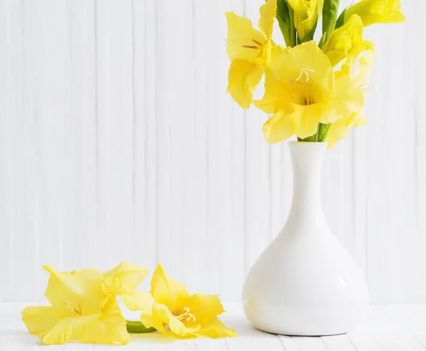 Gladíolo amarelo sobre fundo branco — Fotografia de Stock