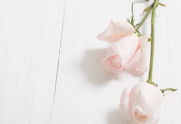 Beautiful roses on wooden background — Stock Photo, Image