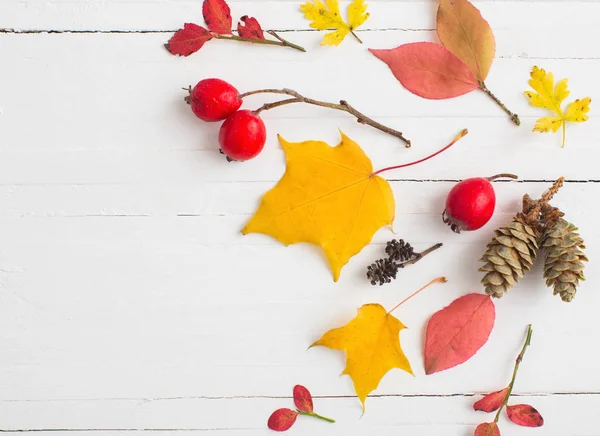 Red berriaes and  autumn leaves on white wooden background — Stock Photo, Image