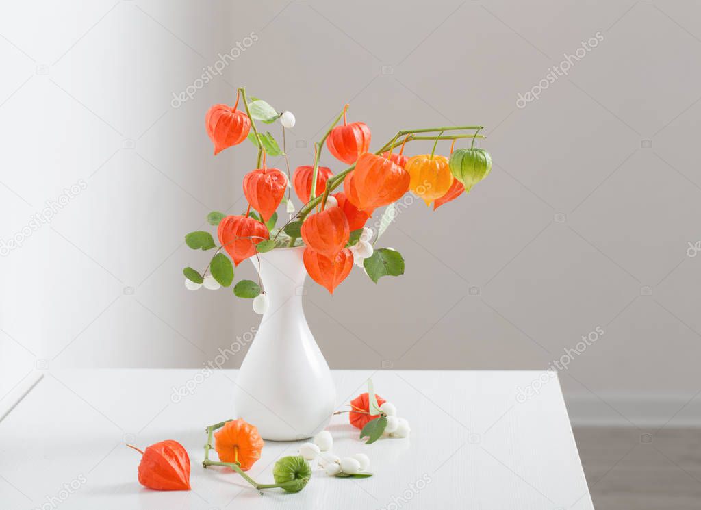 red physalis on wooden table