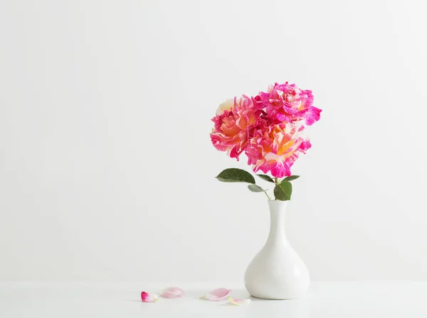 Rosas cor de rosa em vaso sobre fundo branco — Fotografia de Stock
