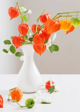 ahşap masa üzerinde kırmızı physalis