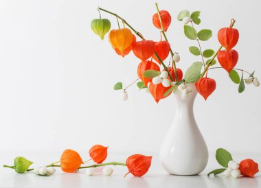 ahşap masa üzerinde kırmızı physalis