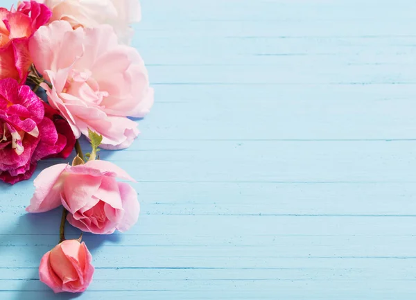 青い木製の背景に美しいバラの花 — ストック写真