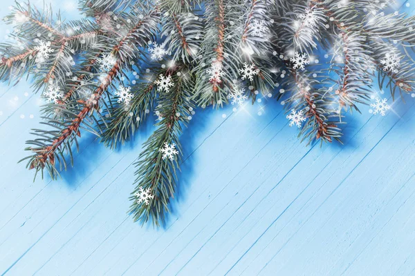 Fir branch on blue wooden background — Stock Photo, Image