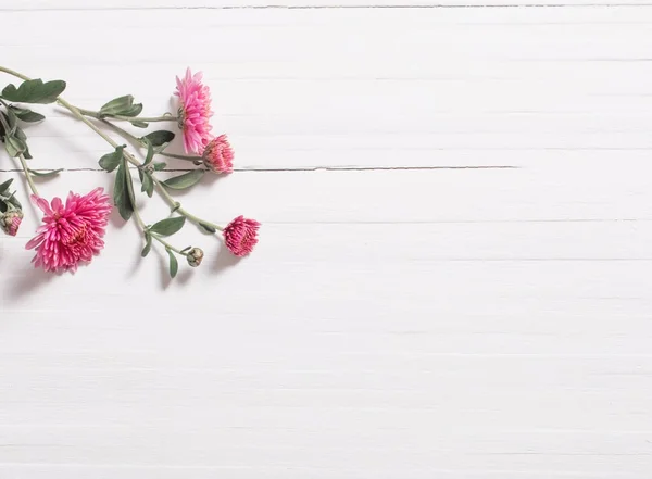 Różowy chryzantemy na białym tle drewnianych — Zdjęcie stockowe